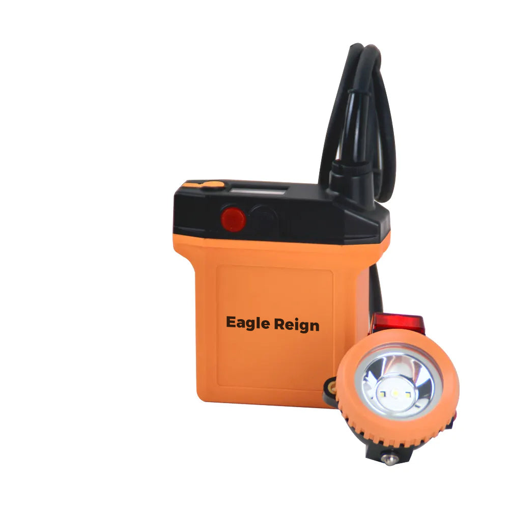 Eagle Reign Heavy-Duty Underground Security Lights
