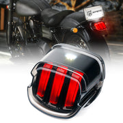 Rear LED Taillight Assembly